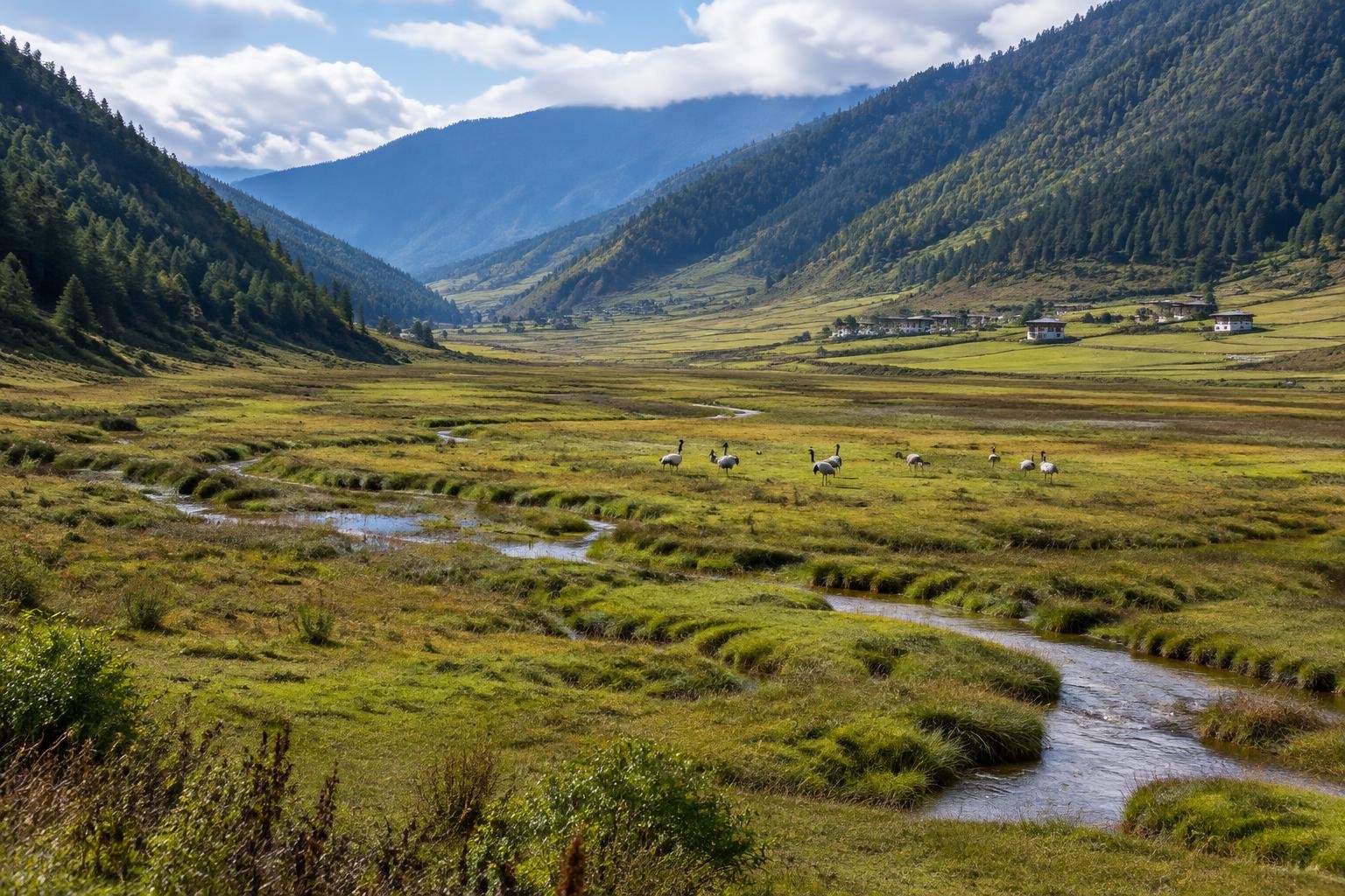 Prairies et paysages de la vallée de Phobjikha au Bhoutan — illustration
