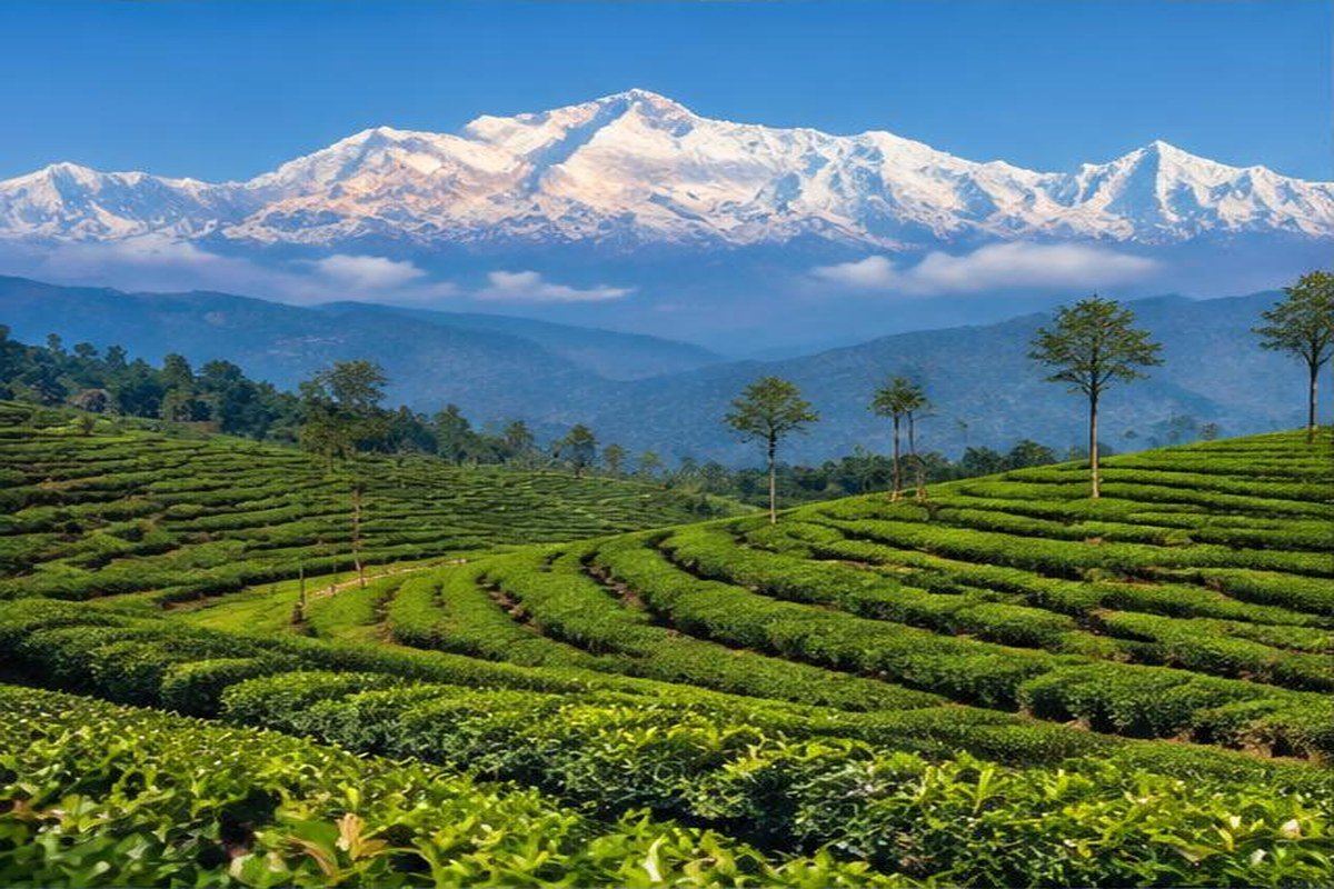 Darjeeling, étape du jour 2