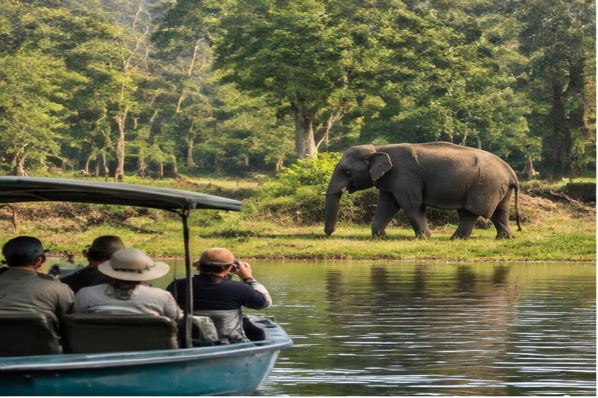 Kabini, étape du jour 4