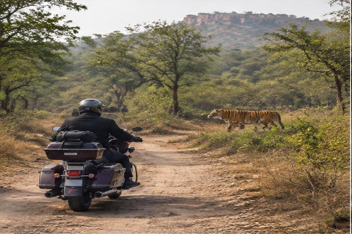 Ranthambore, étape du jour 4