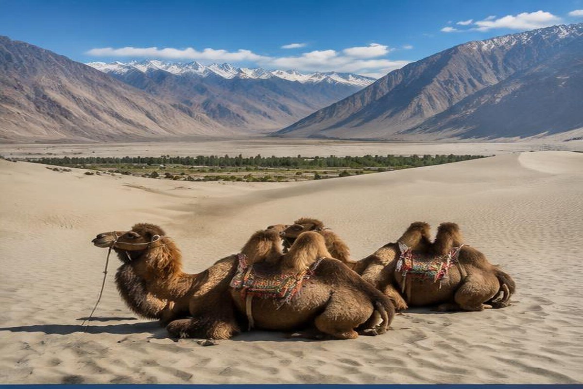 vallée de la Nubra, étape du jour 8